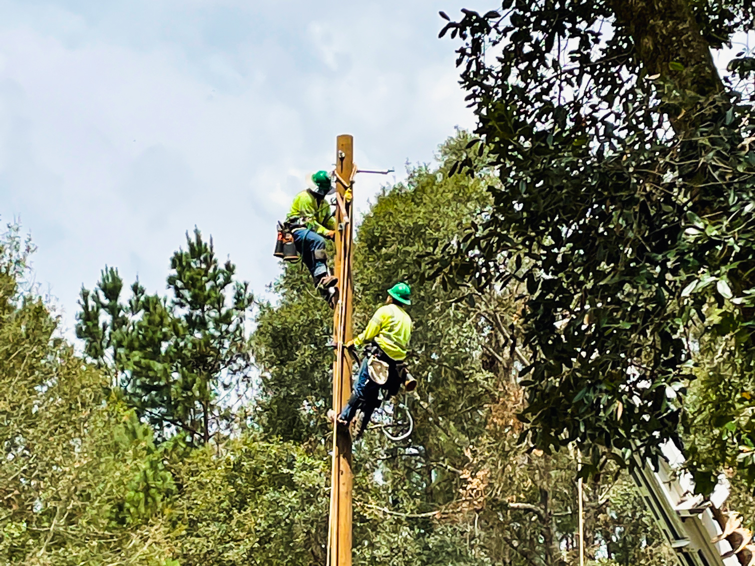 Two construction workers climbing on a power line pole